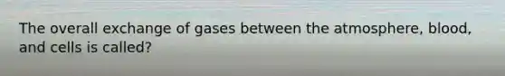 The overall exchange of gases between the atmosphere, blood, and cells is called?