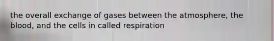 the overall exchange of gases between the atmosphere, the blood, and the cells in called respiration