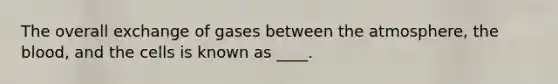 The overall exchange of gases between the atmosphere, the blood, and the cells is known as ____.