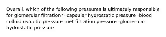 Overall, which of the following pressures is ultimately responsible for glomerular filtration? -capsular hydrostatic pressure -blood colloid osmotic pressure -net filtration pressure -glomerular hydrostatic pressure