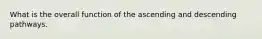 What is the overall function of the ascending and descending pathways.