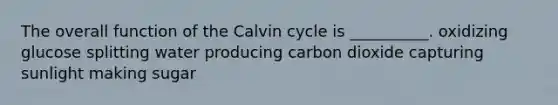 The overall function of the Calvin cycle is __________. oxidizing glucose splitting water producing carbon dioxide capturing sunlight making sugar