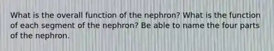 What is the overall function of the nephron? What is the function of each segment of the nephron? Be able to name the four parts of the nephron.