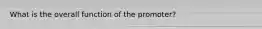 What is the overall function of the promoter?