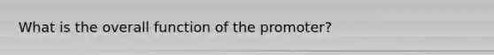 What is the overall function of the promoter?