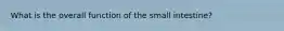 What is the overall function of the small intestine?