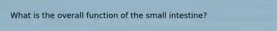 What is the overall function of the small intestine?