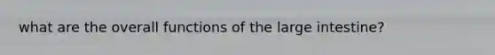 what are the overall functions of the large intestine?