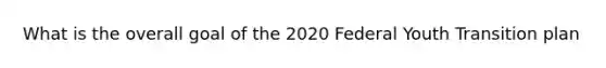 What is the overall goal of the 2020 Federal Youth Transition plan