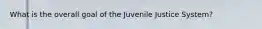 What is the overall goal of the Juvenile Justice System?