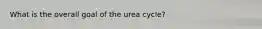 What is the overall goal of the urea cycle?