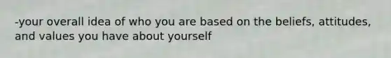 -your overall idea of who you are based on the beliefs, attitudes, and values you have about yourself