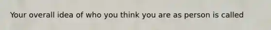 Your overall idea of who you think you are as person is called