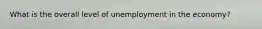 What is the overall level of unemployment in the economy?