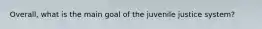 Overall, what is the main goal of the juvenile justice system?