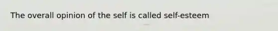 The overall opinion of the self is called self-esteem