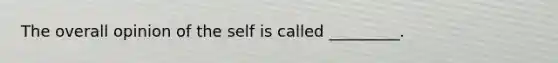 The overall opinion of the self is called _________.