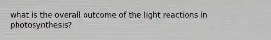 what is the overall outcome of the light reactions in photosynthesis?