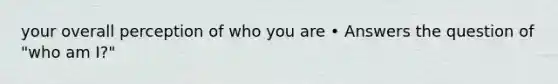 your overall perception of who you are • Answers the question of "who am I?"