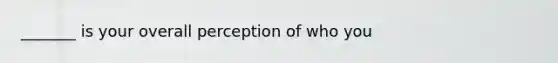 _______ is your overall perception of who you