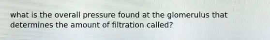 what is the overall pressure found at the glomerulus that determines the amount of filtration called?