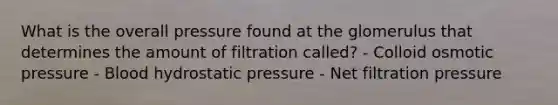 What is the overall pressure found at the glomerulus that determines the amount of filtration called? - Colloid osmotic pressure - Blood hydrostatic pressure - Net filtration pressure