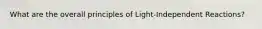 What are the overall principles of Light-Independent Reactions?