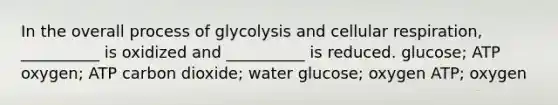 In the overall process of glycolysis and cellular respiration, __________ is oxidized and __________ is reduced. glucose; ATP oxygen; ATP carbon dioxide; water glucose; oxygen ATP; oxygen