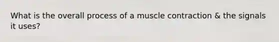 What is the overall process of a muscle contraction & the signals it uses?