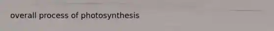 overall process of photosynthesis