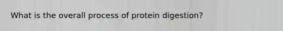 What is the overall process of protein digestion?