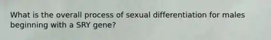 What is the overall process of sexual differentiation for males beginning with a SRY gene?