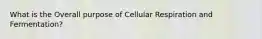 What is the Overall purpose of Cellular Respiration and Fermentation?