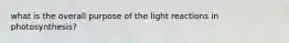 what is the overall purpose of the light reactions in photosynthesis?