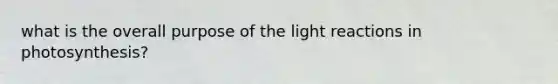 what is the overall purpose of the light reactions in photosynthesis?