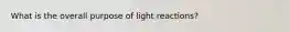 What is the overall purpose of light reactions?