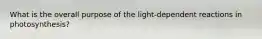 What is the overall purpose of the light-dependent reactions in photosynthesis?