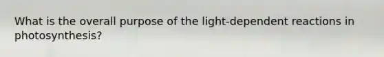 What is the overall purpose of the light-dependent reactions in photosynthesis?