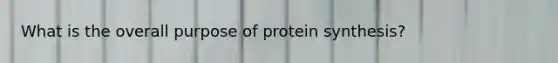 What is the overall purpose of protein synthesis?