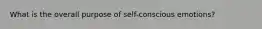 What is the overall purpose of self-conscious emotions?