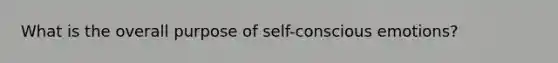What is the overall purpose of self-conscious emotions?
