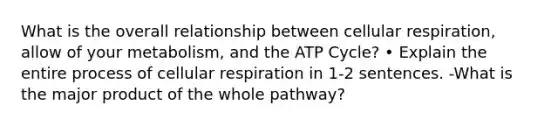 What is the overall relationship between cellular respiration, allow of your metabolism, and the ATP Cycle? • Explain the entire process of cellular respiration in 1-2 sentences. -What is the major product of the whole pathway?