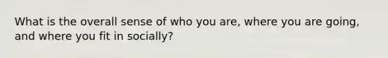 What is the overall sense of who you are, where you are going, and where you fit in socially?