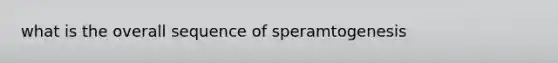 what is the overall sequence of speramtogenesis