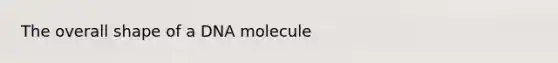 The overall shape of a DNA molecule