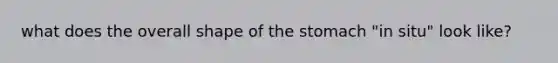 what does the overall shape of the stomach "in situ" look like?