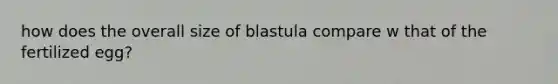 how does the overall size of blastula compare w that of the fertilized egg?