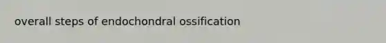 overall steps of endochondral ossification