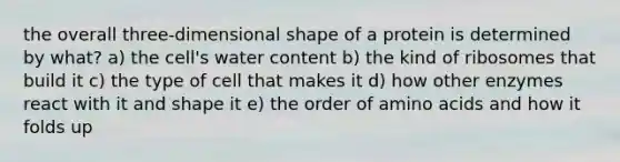 the overall three-dimensional shape of a protein is determined by what? a) the cell's water content b) the kind of ribosomes that build it c) the type of cell that makes it d) how other enzymes react with it and shape it e) the order of amino acids and how it folds up