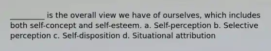 _________ is the overall view we have of ourselves, which includes both self-concept and self-esteem. a. Self-perception b. Selective perception c. Self-disposition d. Situational attribution